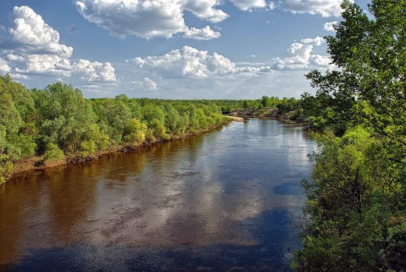 Перспективные места для подводной охоты в Нижегородской области