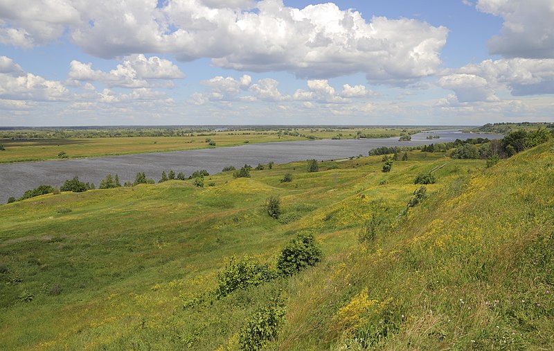 Август в Рязанской области 