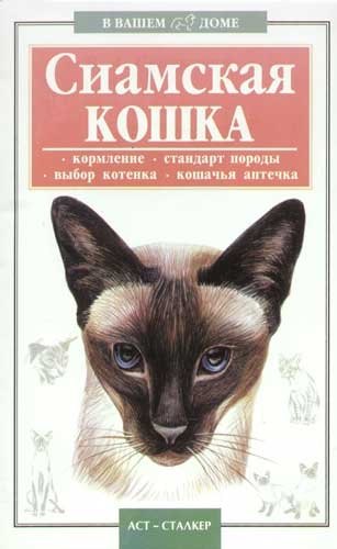 Персидская кошка