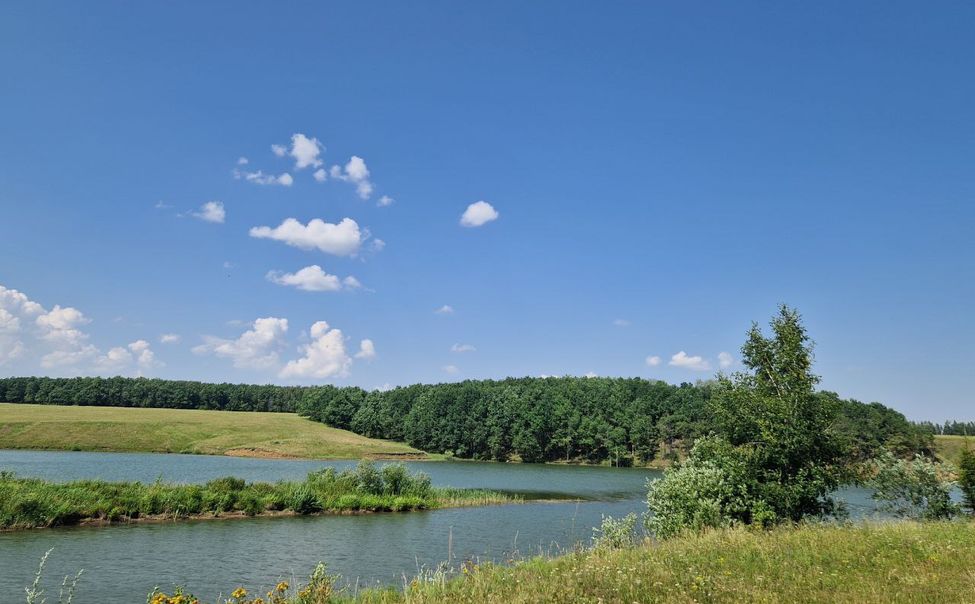 Несчастные случаи на водоемах Чувашии