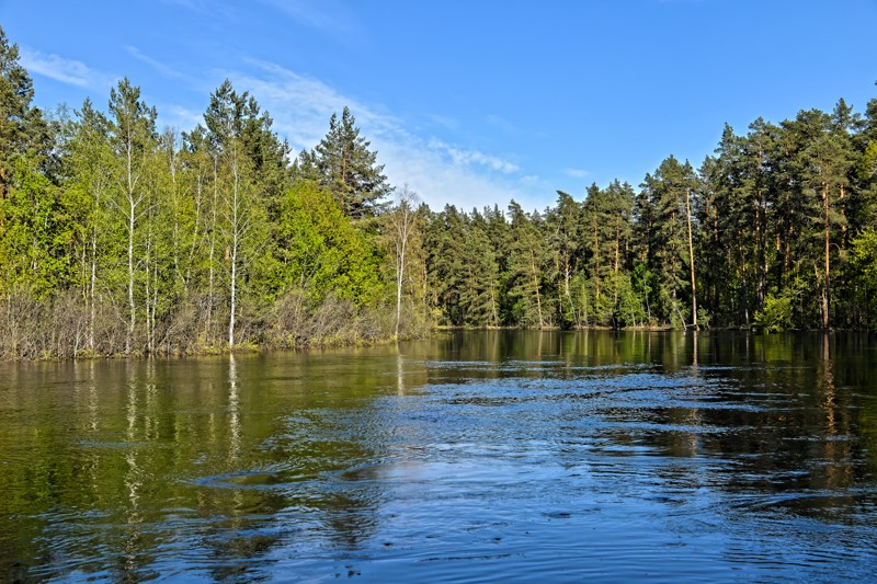 В гостях у Лешего, турбаза, Рязанская 