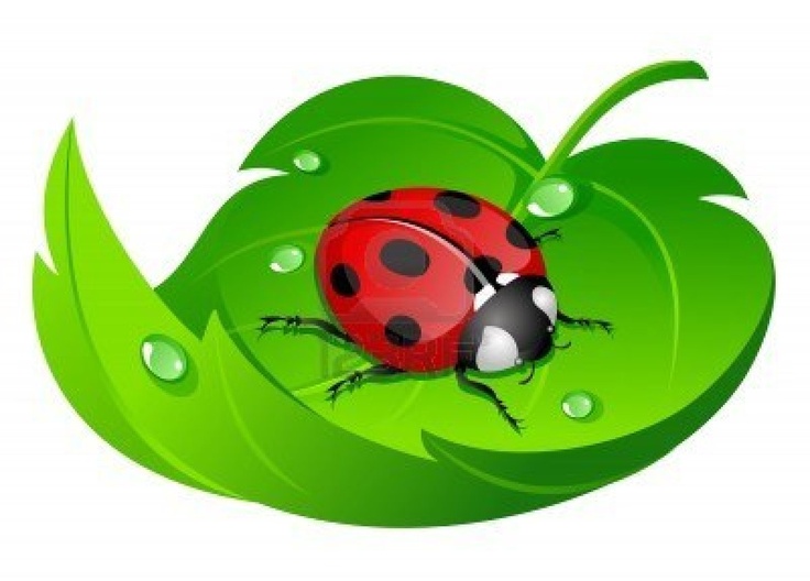 Love Bugs, Animal Drawings, Tube, Smileys, Ants, Insects 