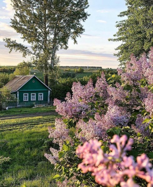 Весна в деревне 