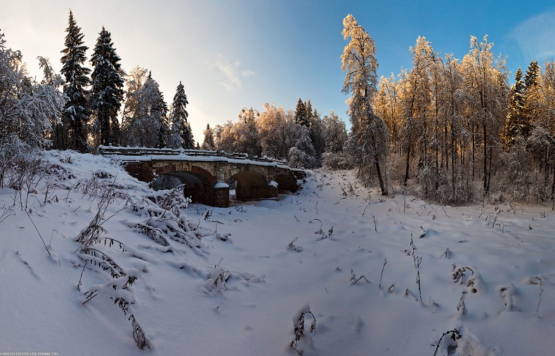 Зимние каникулы в Подмосковье 