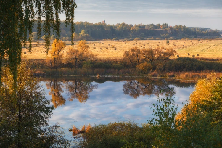 Я тут собрала немного фоточек из 