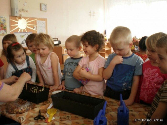 Экспериментирование в детском саду 