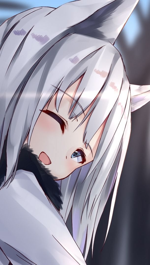 koneko neko neko 1280x720 553385 