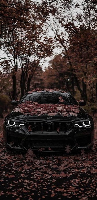 BMW Wallpapers