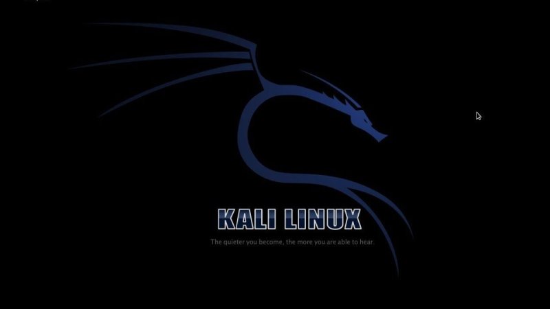 Обои Черный фон Kali Linux » Скачать красивые HD обои 