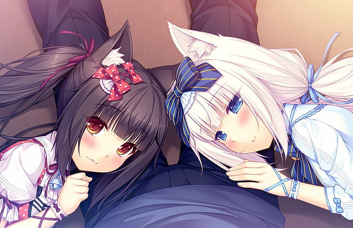 Nekopara Vol