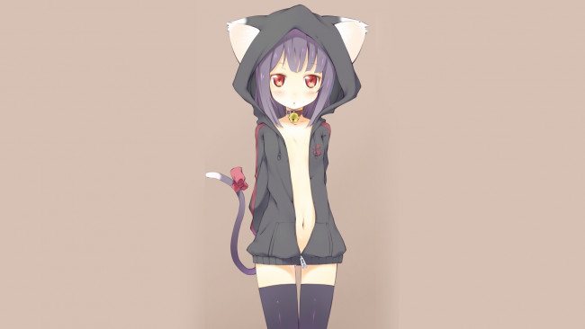 Long Haired Anime Neko Girl Wallpaper 