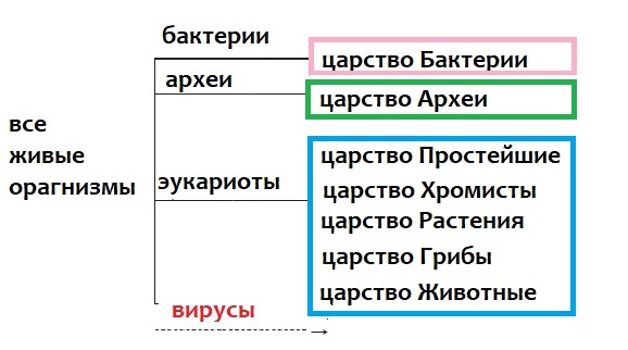 Плакат-таблица Statuya Биология Живая и неживая природа 