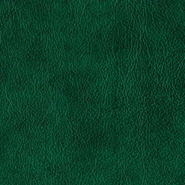 Shaded green leather background 