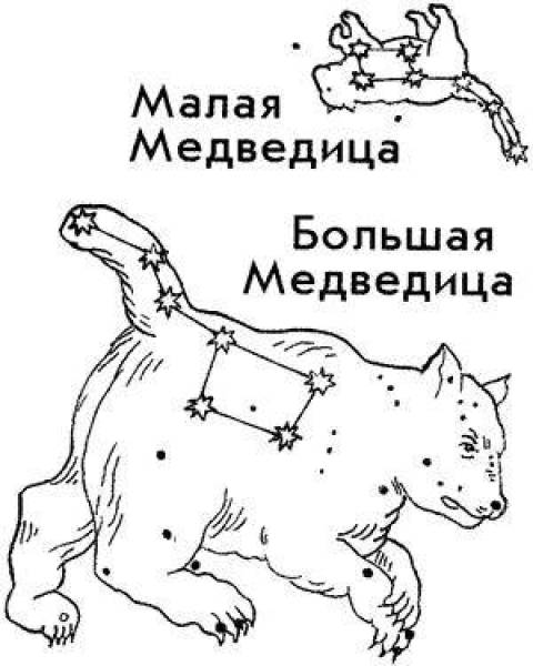 Окружающий мир