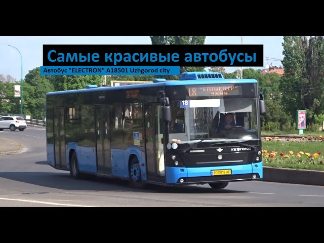 Самые красивые автобусы в Ужгороде 