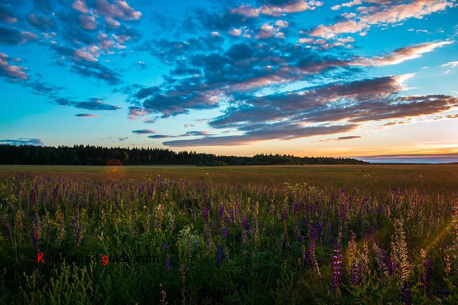 Самые красивые места Калининградской 