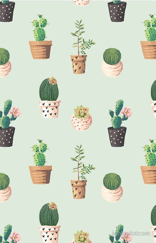 100+] Cactus Iphone Wallpapers 