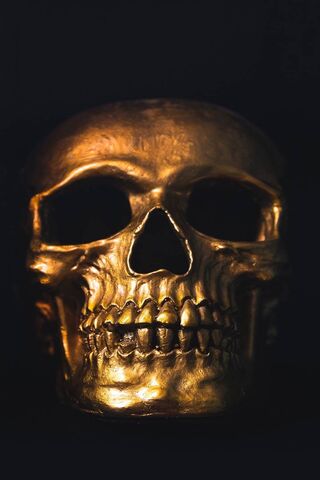 Обои череп, минимализм, голова, скелет, skull, черный фон на 