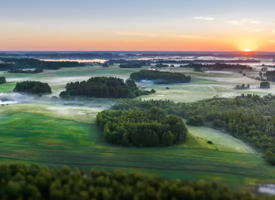 Природа Латвии, флора и фауна