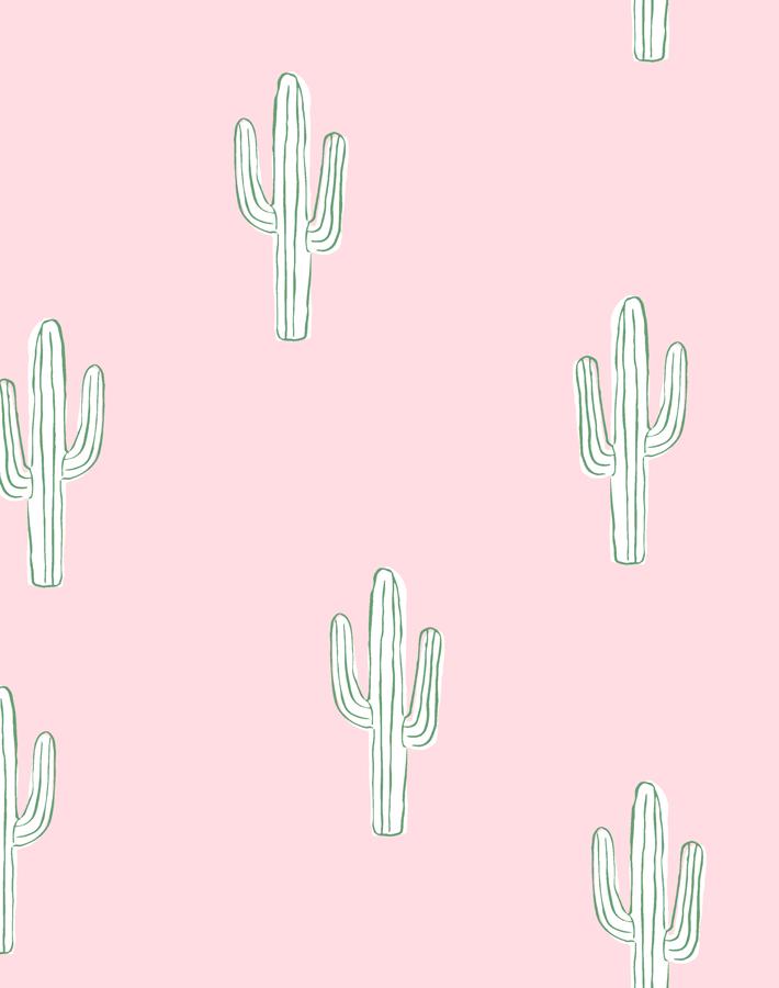 3 Cactus Wallpaper