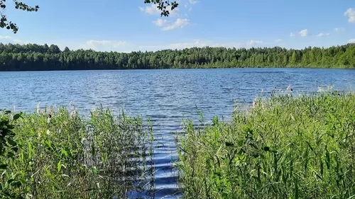 В Нижегородской области выяснили 