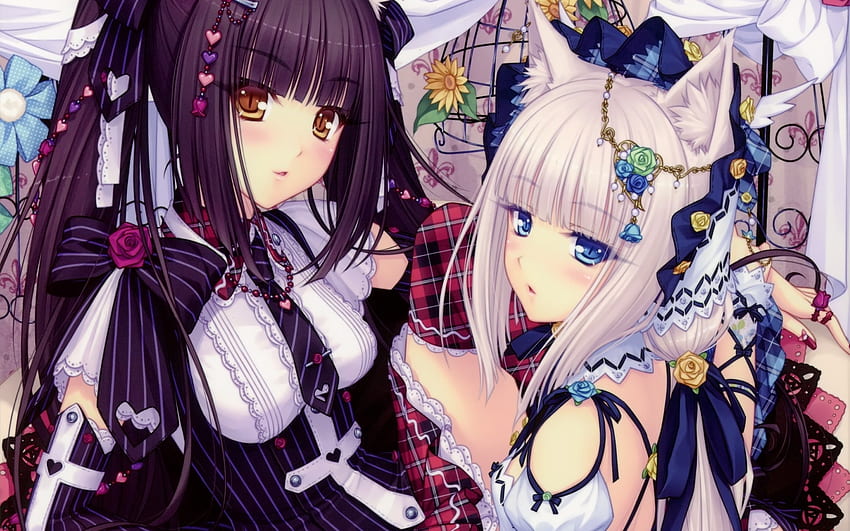 Nekopara vol