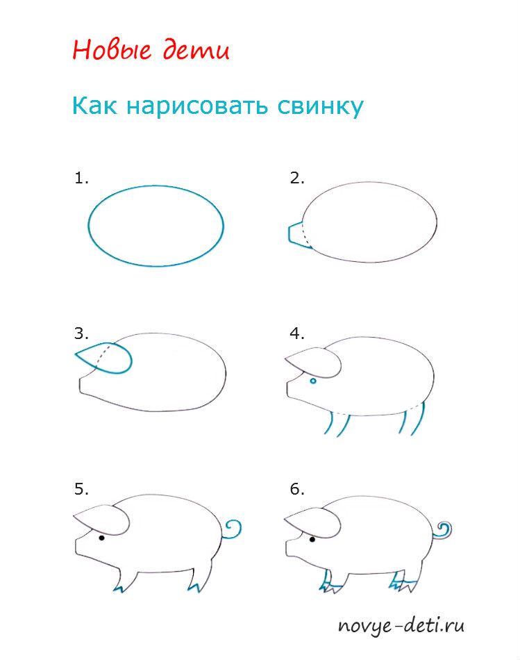 поросенок рисунок/свинка рисунок /свинья рисунок/Рисунок 