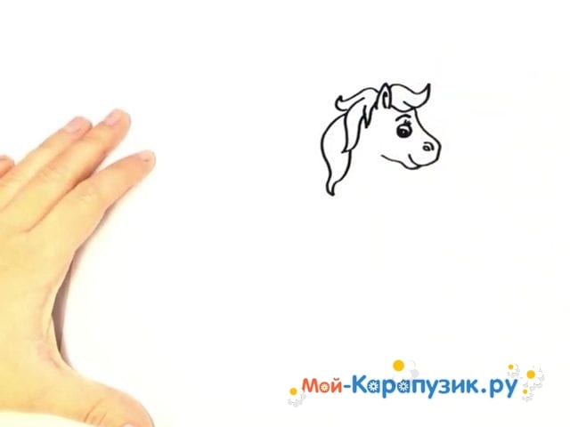 Как нарисовать лошадь карандашом поэтапно ✏