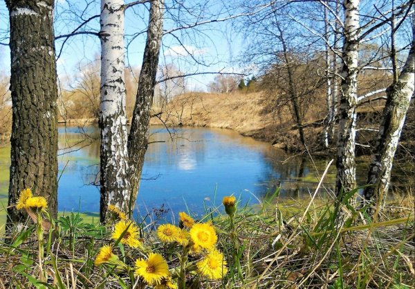 Ася, апрель