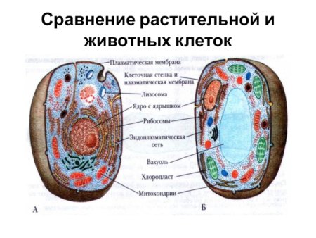 Мужские брюки Черно-белая клетка за 2390 ₽ купить в магазине 