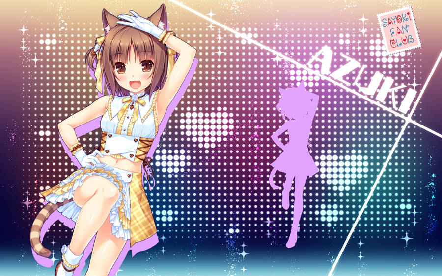 Let's Play Nekopara Vol 4 PC, Blind 