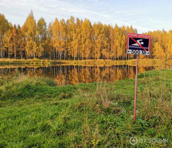 В Костроме стартует фотоконкурс «Природа моей Родины»