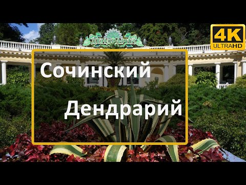 Дендрарий Сочи