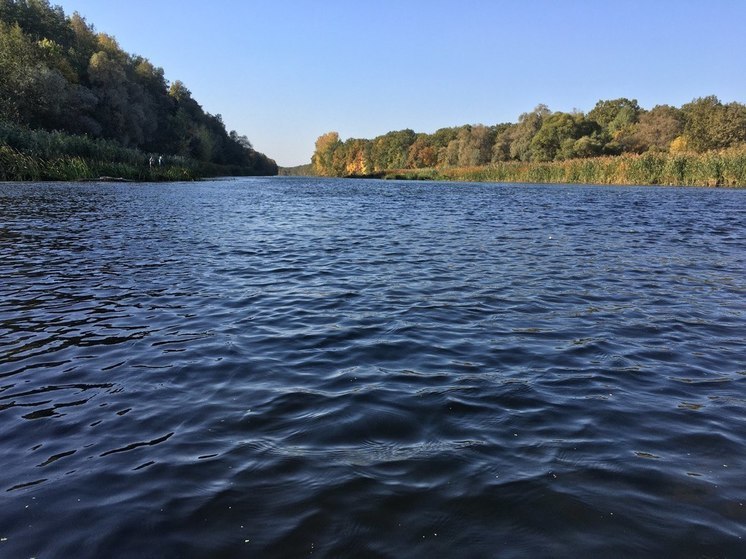 Красивый природный парк в Воронежской 