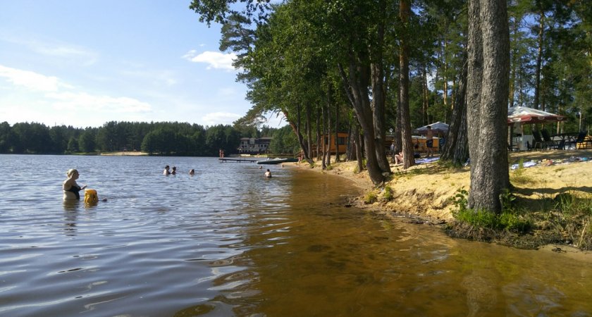 В Нижегородской области обнаружено 