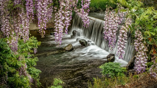 Обои вода, цветы, озеро, лодка, весна, Япония, сакура, гора 