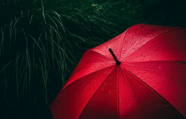 Umbrella Corp Wallpaper