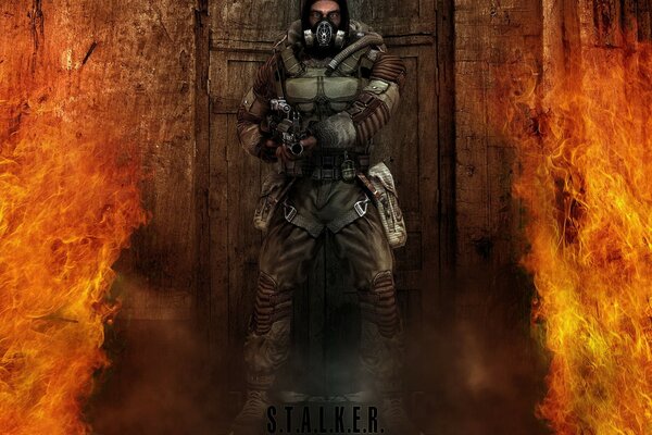 Обои Stalker