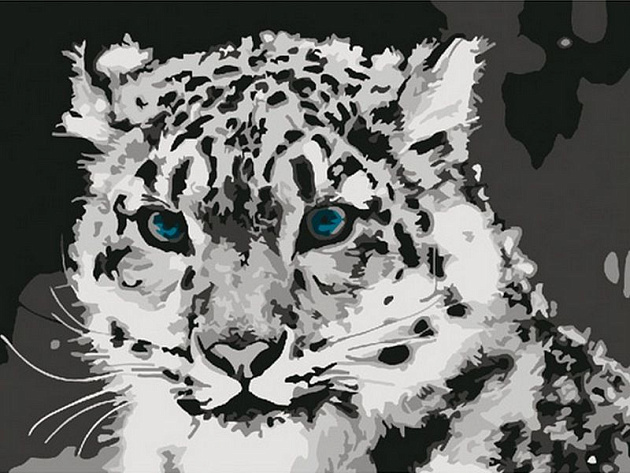 Обои снег, Snow Leopard, ирбис, снежный барс на телефон и 