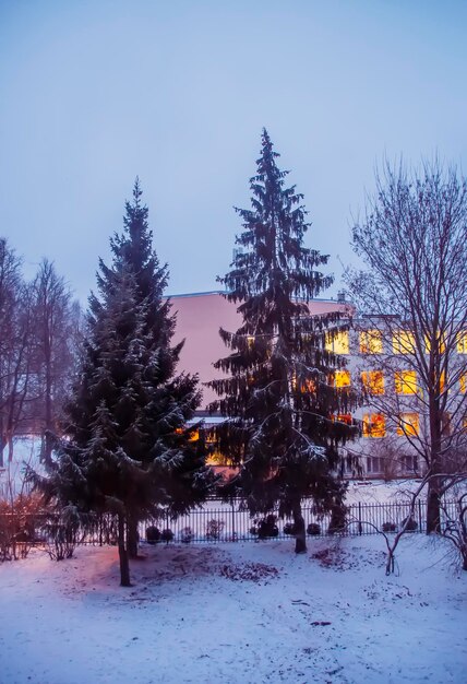 Фотография на тему Зимний городской пейзаж 