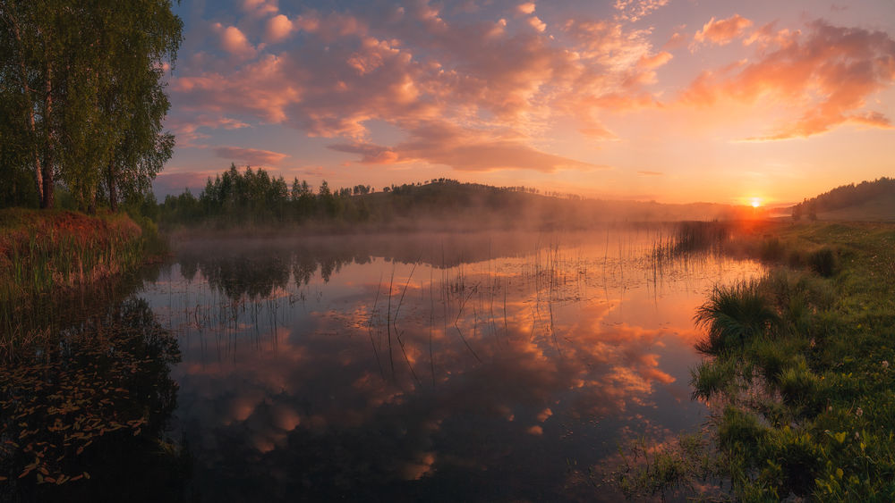 Озеро деревья природа лето обои на 