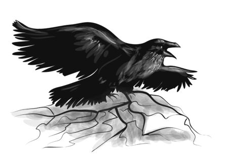 Серая ворона Corvus cornix на 