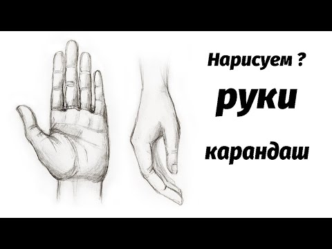 Руки показывают сердце, сердце руками 