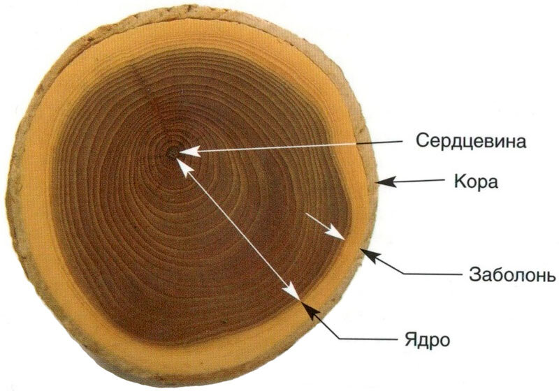 Архитектура Дерево, Рисунок, Китайская Архитектура, Структура 