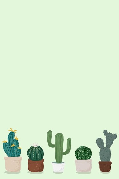 Cactus in a mountain landscape