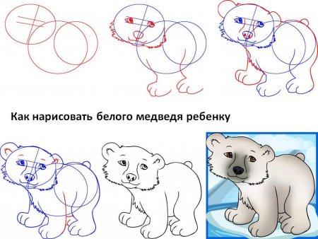 Как нарисовать белого медведя 