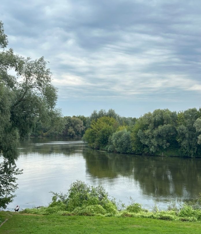 Публикуем красивые фотографии природы Рязанской области в 