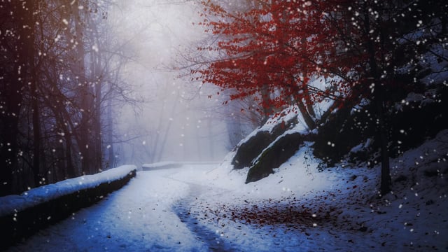 Snowfall Wallpapers 3 images