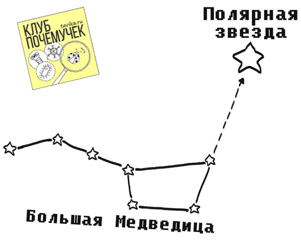 Большая Медведица Созвездие Малая Медведица Большая Медведица 