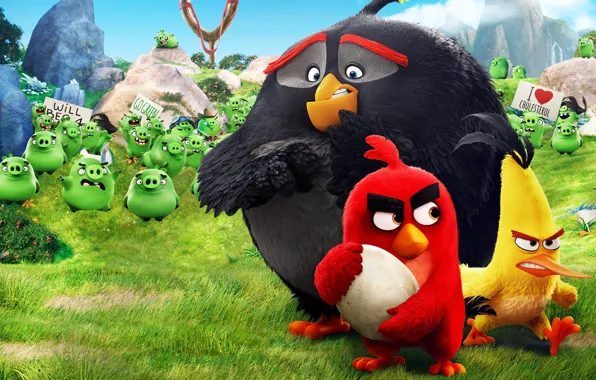 Зелёная птичка из Angry Birds большого размера — Картинки и авы